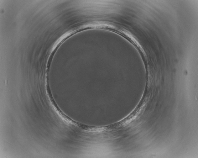 X0000060790853200511241843