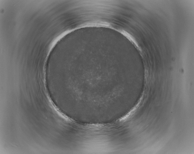 X0000060790854200511241843