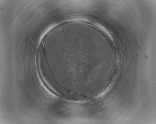 X0000060790855200511241843