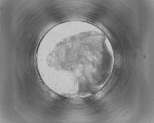 X0000060790856200511241843