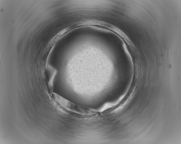 X0000060790857200511241843