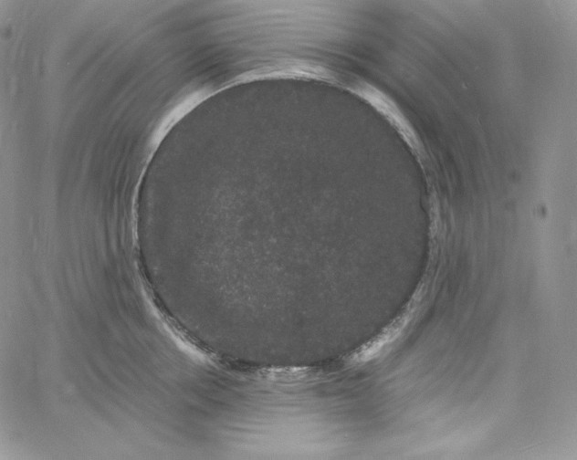 X0000060790858200511241843