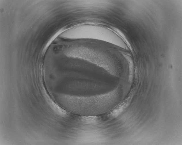 X0000060790859200511241843