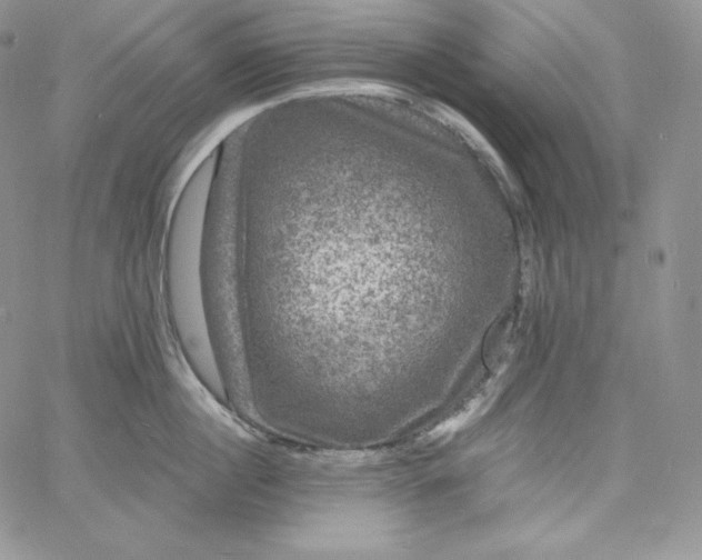 X0000060790860200511241843