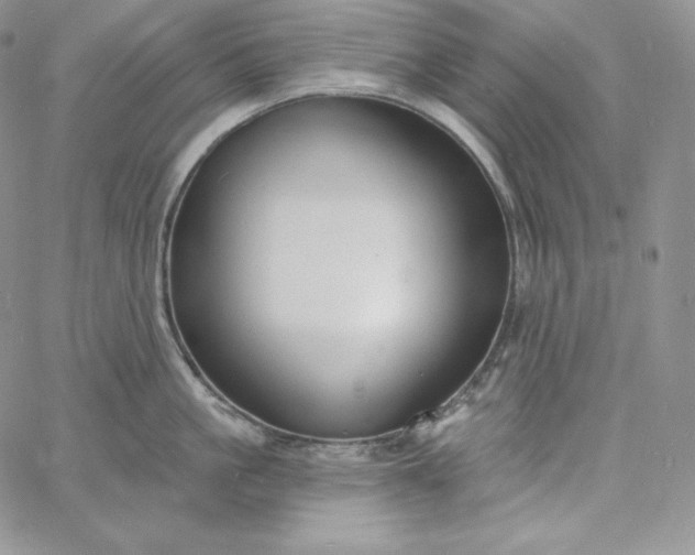 X0000060790861200511241843