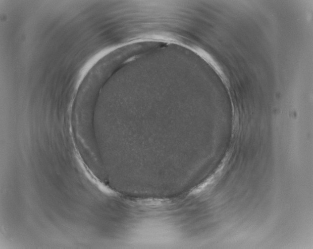 X0000060790862200511241843