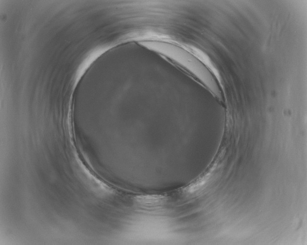 X0000060790863200511241843