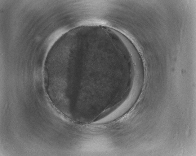 X0000060790864200511241843