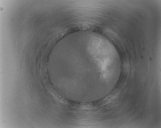 X0000060790865200511241842