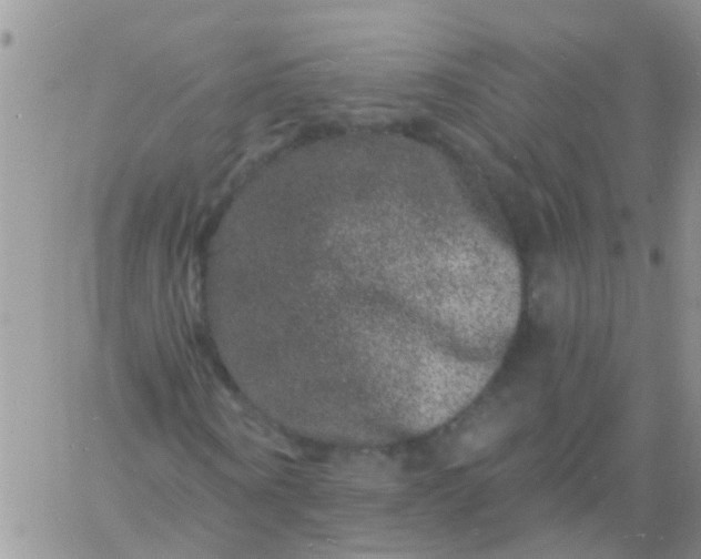 X0000060790866200511241842