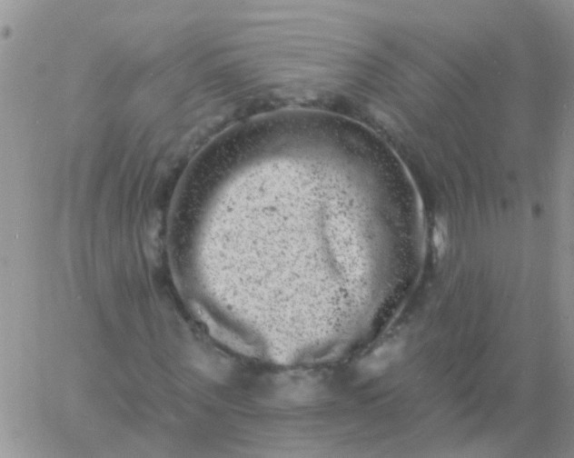 X0000060790867200511241842