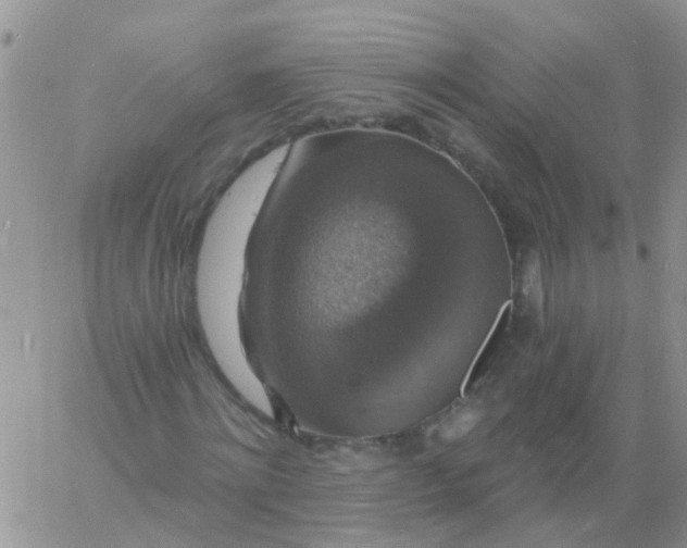 X0000060790868200511241842