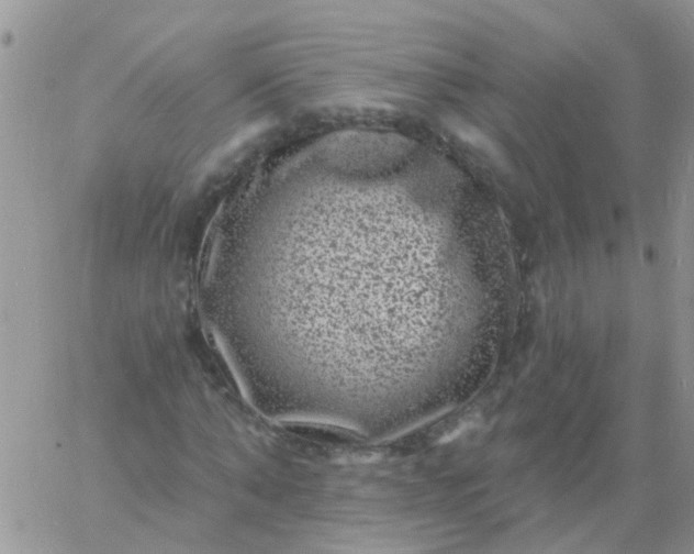 X0000060790870200511241842