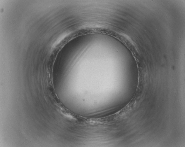 X0000060790871200511241842