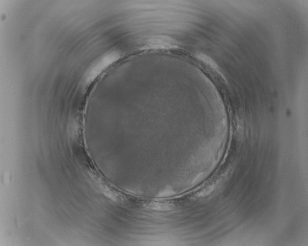 X0000060790874200511241842