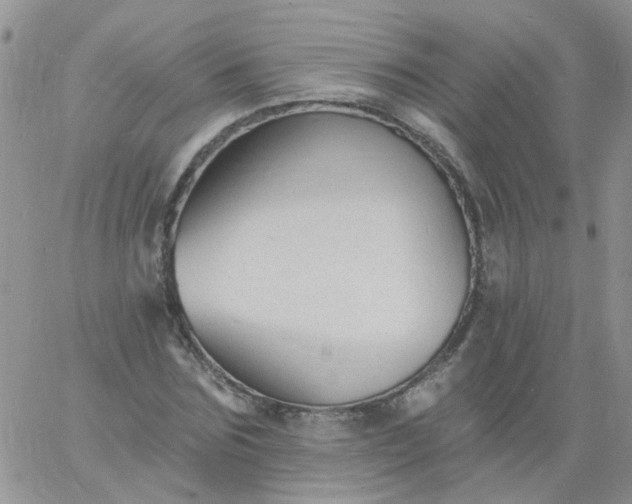 X0000060790875200511241842