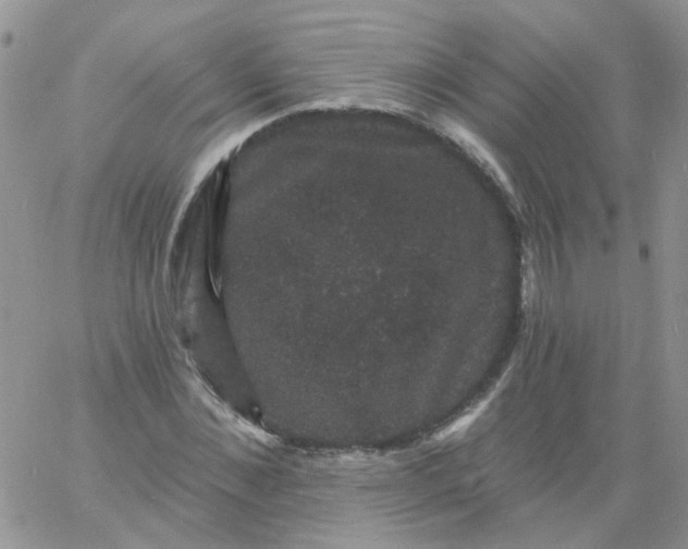 X0000060790876200511241842