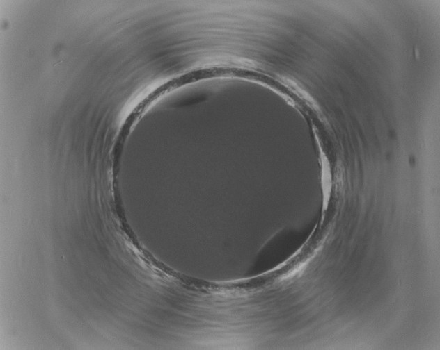 X0000060790877200511241842