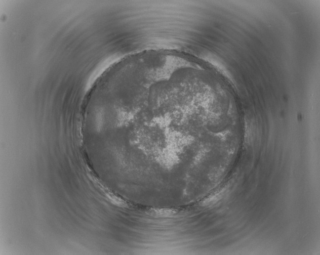 X0000060790878200511241842