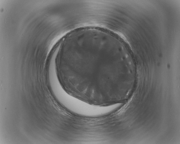 X0000060790879200511241842