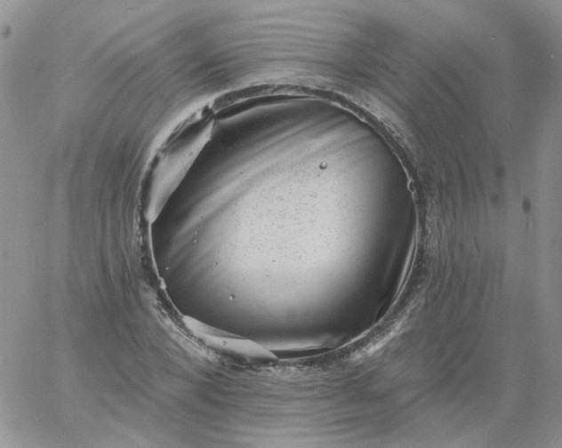 X0000060790880200511241842