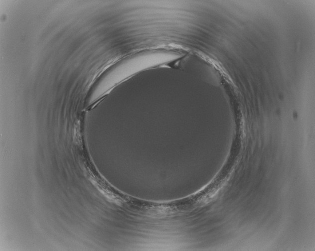 X0000060790881200511241842