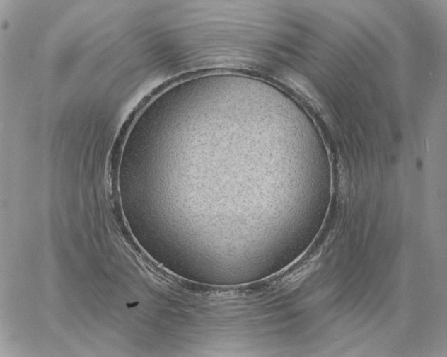 X0000060790883200511241842