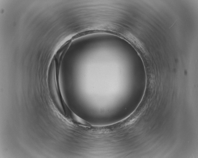 X0000060790884200511241842