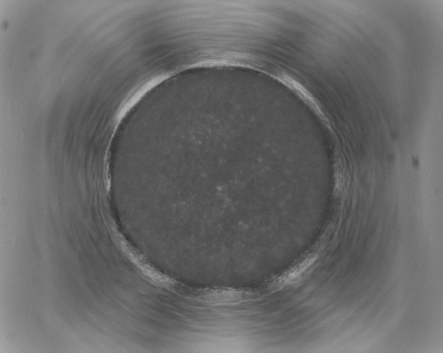 X0000060790885200511241842