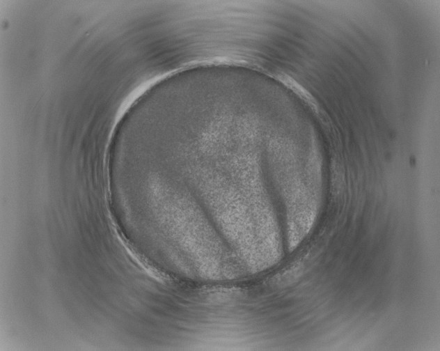 X0000060790886200511241842