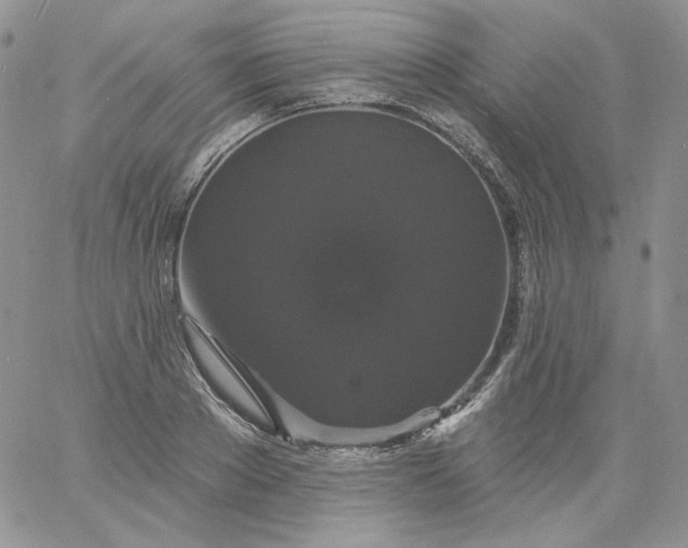 X0000060790889200511241842