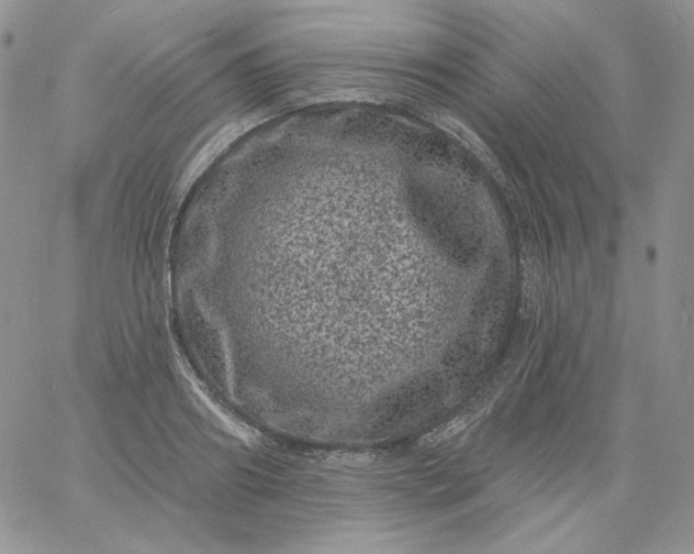 X0000060790890200511241842