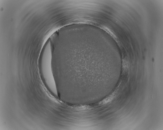 X0000060790891200511241842