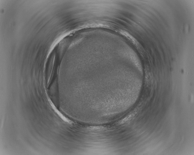 X0000060790894200511241842