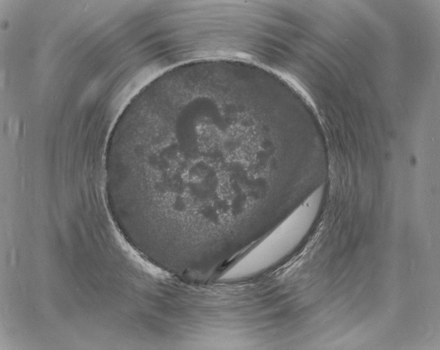 X0000060790895200511241842