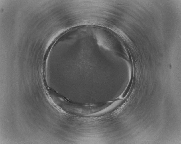 X0000060790896200511241842