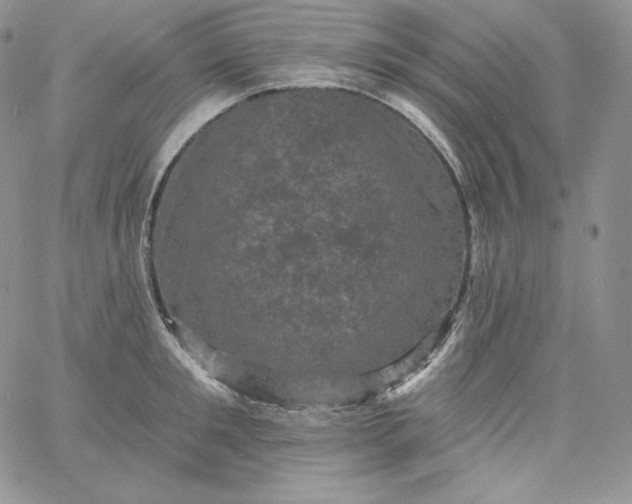 X0000060790901200511241842