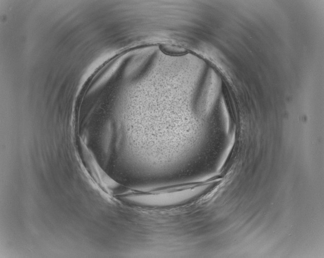 X0000060790902200511241842