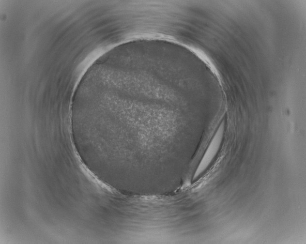 X0000060790903200511241842