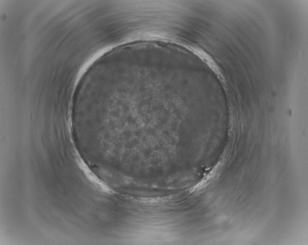 X0000060790904200511241842