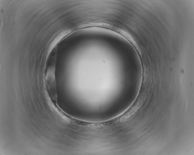 X0000060790906200511241842