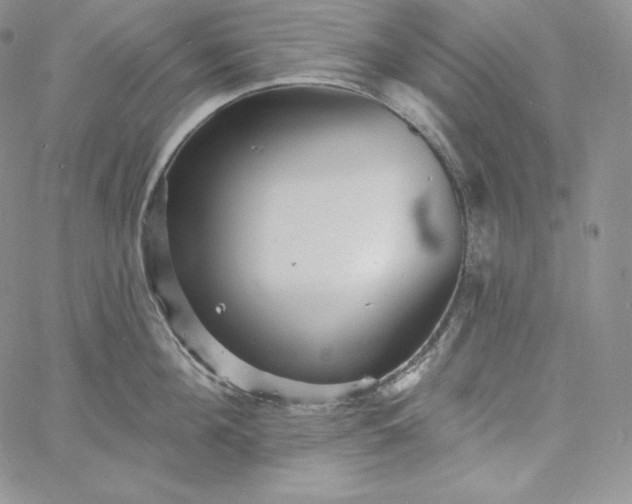 X0000060790908200511241842