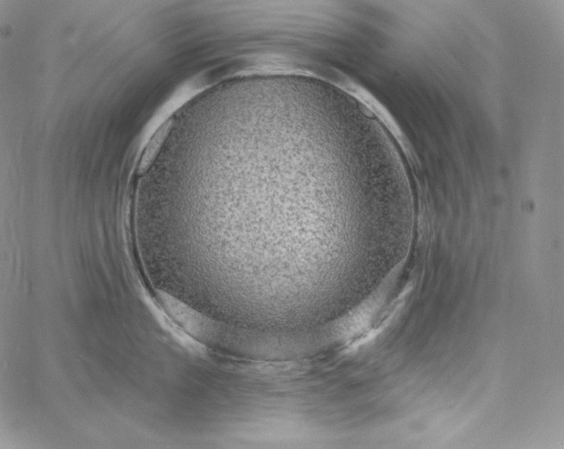 X0000060790909200511241842