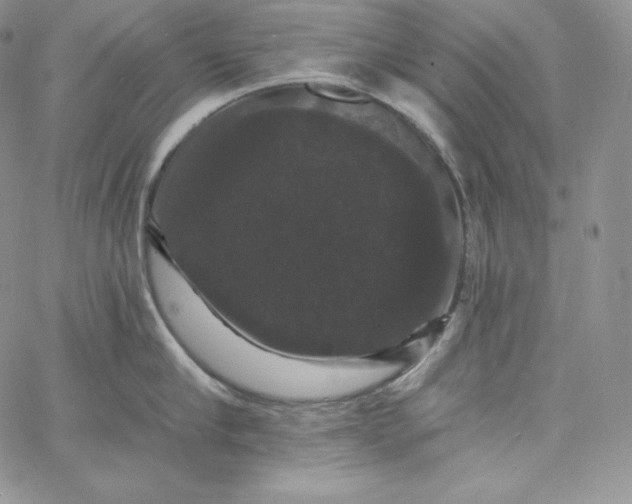 X0000060790910200511241842