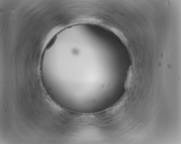 X0000060790912200511241842