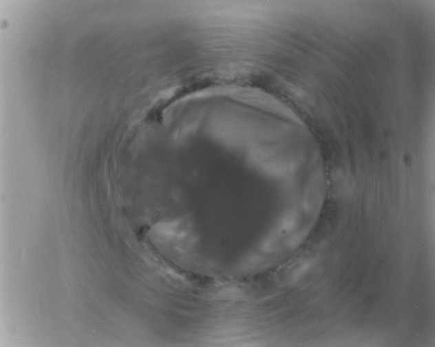 X0000060790913200511241841