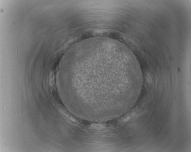 X0000060790914200511241841