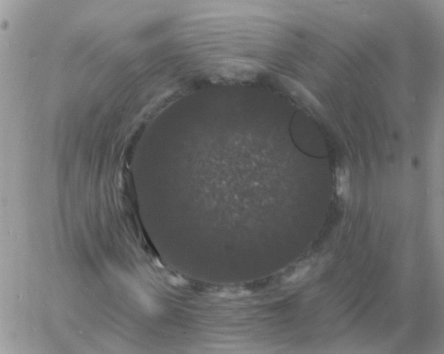 X0000060790915200511241841