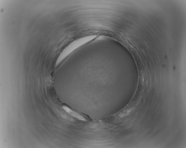 X0000060790916200511241841