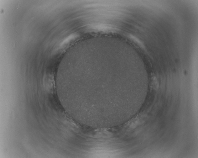 X0000060790918200511241841